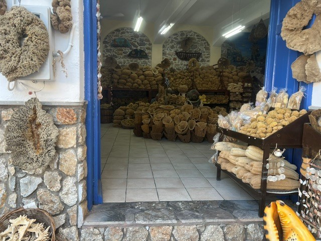 Sponges