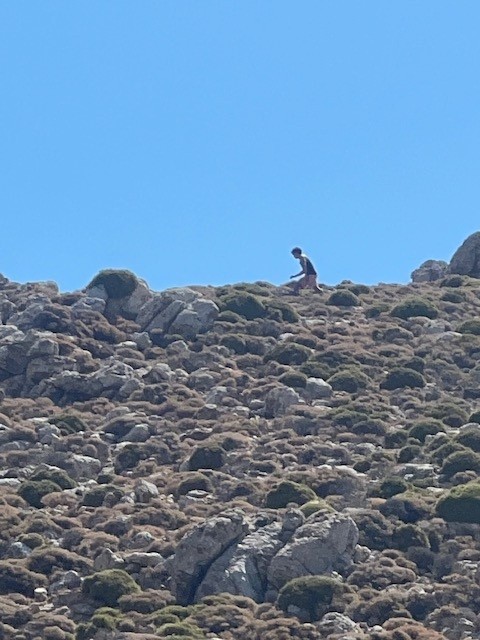 Tilos